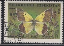 [Butterflies and Moths, type CH]