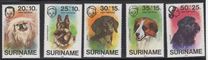 [Child Welfare - Pet Dogs, type AHD]