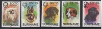 [Child Welfare - Pet Dogs, type AHD]