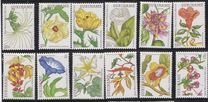 [Flower Paintings by Maria Sibylle Merian, tyyppi ARE]