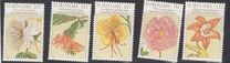 [Flower Drawings by Maria Sibylle Merian, Tipe AOG]