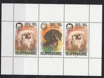 [Child Welfare - Pet Dogs, type AHD]