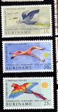 [Birds - The 25th Anniversary of Netherlands-Surinam-Netherlands Antilles Air Service, type ABW]