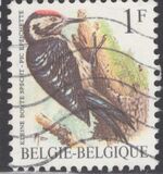 [Birds, type BNH]