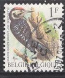 [Birds, type BNH]