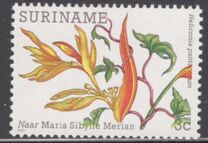 [Flower Paintings by Maria Sibylle Merian, tyyppi ARG]