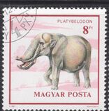 [Prehistoric Animals, Tip EVJ]