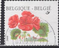 [Flower - Year "2000" Imprint, Tip CFV1]