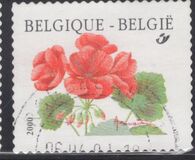 [Flower - Year "2000" Imprint, Tip CFV1]