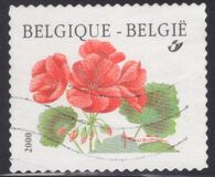 [Flower - Year "2000" Imprint, Tip CFV1]