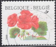 [Flower - Year "2000" Imprint, Tip CFV1]