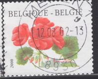 [Flower - Year "2000" Imprint, Tip CFV1]