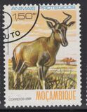 [Protected Animals, type QB]