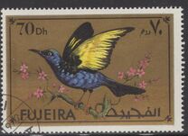 [Birds, Scrivi ADN]
