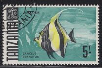 [Marine Life - Fish, тип AD]