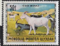 [Livestock Breeding, type WT]