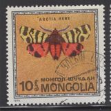 [Butterflies, Tüüp ACX]
