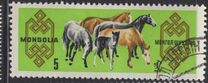 [Mongolian Horses, type ME]