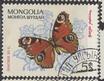 [Butterflies, тып KH]
