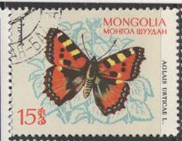 [Butterflies, тып KJ]