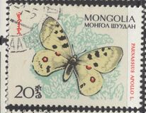 [Butterflies, type KK]