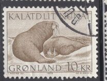 [Walruses, type AR]