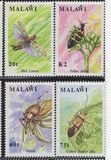 [Insects, type SN]