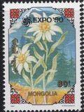 [Flowers and Butterflies, Typ CAR]