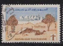 [Living in Tunisia, Tip DR]