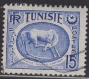 [Horse - From Carthage Museum, प्रकार AT11]