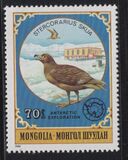 [Antarctic Exploration, نوع ZWL]