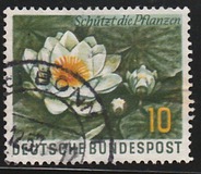 [Protection of Nature, Typ DJ]