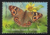 [Fauna - Butterflies, type RU]