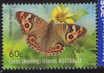 [Fauna - Butterflies, type RU]
