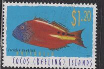 [Fish, type MW]