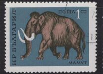 [Prehistoric Animals, type BTI]