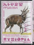 [Menelik´s Bushbuck, type AZF19]