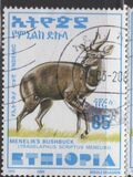 [Menelik´s Bushbuck, type AZF16]