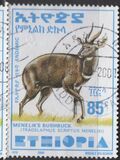 [Menelik´s Bushbuck, type AZF16]