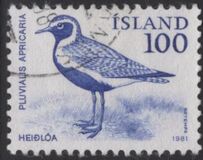 [Birds - Wren, Golden Plover and Raven, Вид MF]