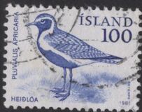 [Birds - Wren, Golden Plover and Raven, Вид MF]