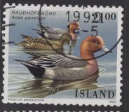 [Birds - Ducks, type RP]