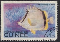 [Fish, Tip UW]