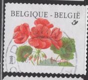 [Flower - Year "2000" Imprint, Tip CFV1]