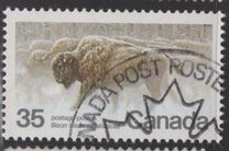 [Endangered Wildlife, type AAE]
