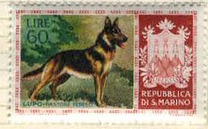 [Dog Breeds, Tipe IJ]