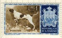 [Dog Breeds, Tipe IC]
