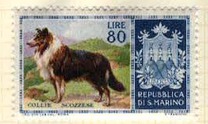[Dog Breeds, Tipe IK]