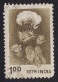 [Agriculture, type XR]