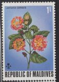 [Flowers of the Maldive Islands, type QY]